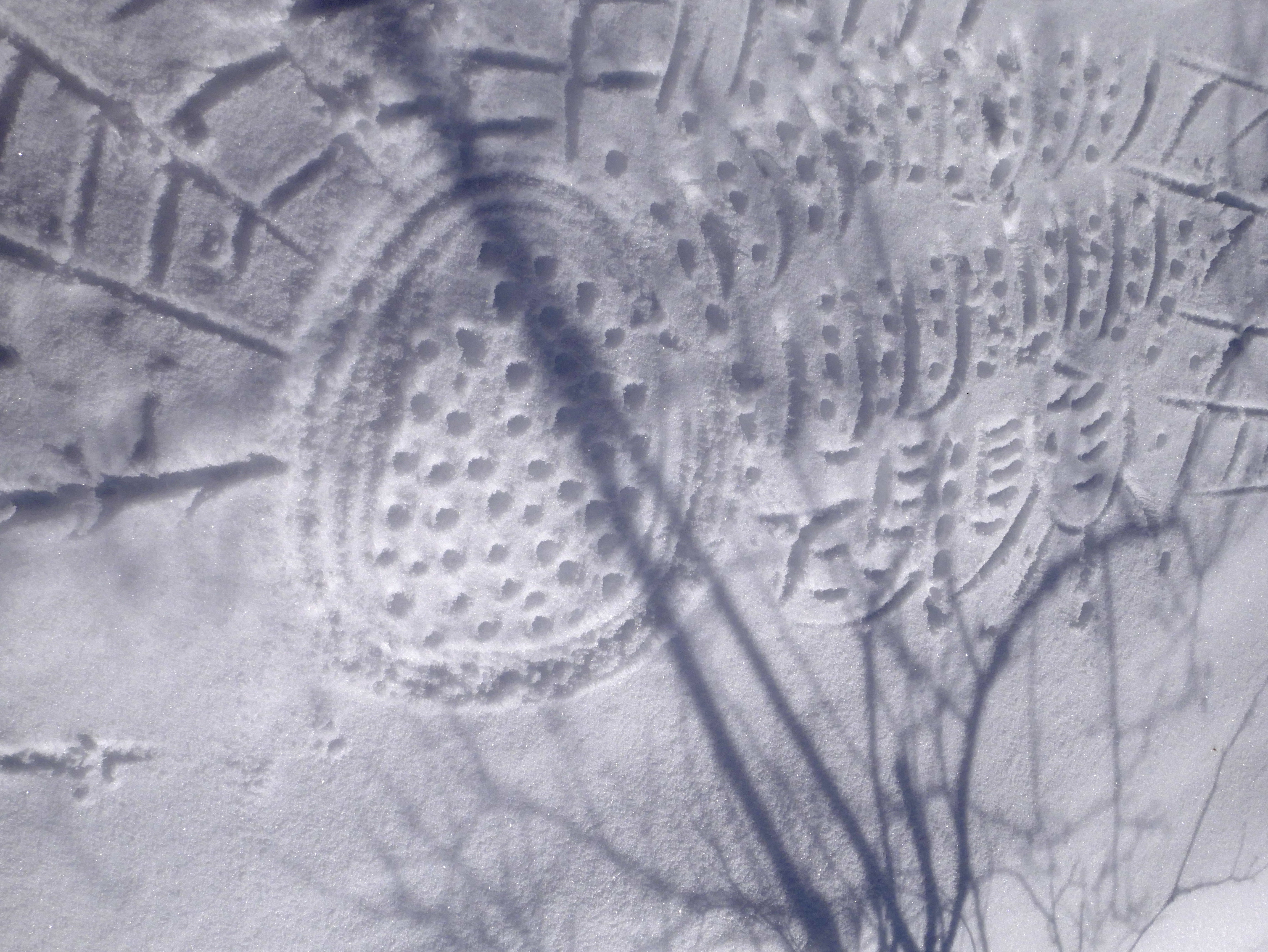 Gravure sur neige - Mars 2022 - La Salle les Alpes