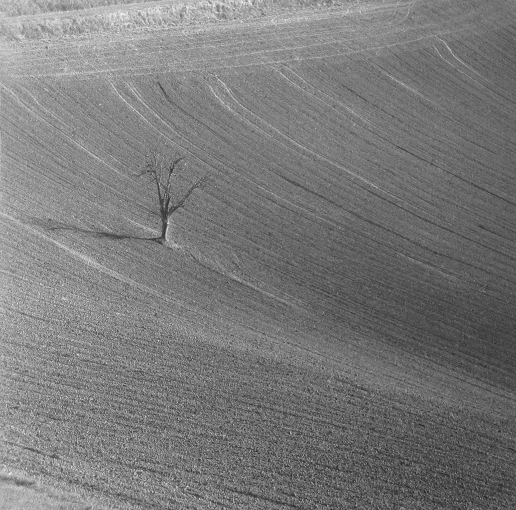 Photographie argentique