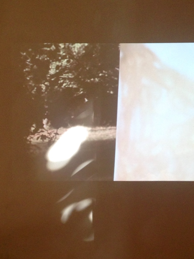 film-7